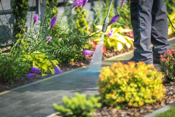 Best Pre-Holiday Cleaning  in Voorheesville, NY