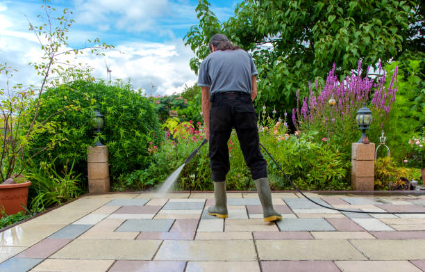 Animal Enclosure Cleaning in Voorheesville, NY